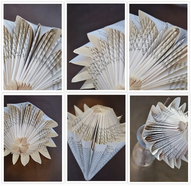 journey along an ordinary life Paper Protea improved