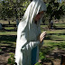 PRAYER TO OUR LADY, COMFORTER OF THE AFFLICTED