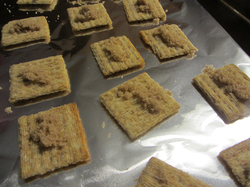 CONTROLLING Craziness Bacon Wrapped Triscuits