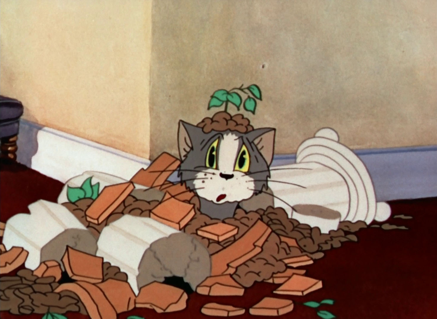 Tom Amp Jerry Pictures Quot Puss Gets The Boot Quot