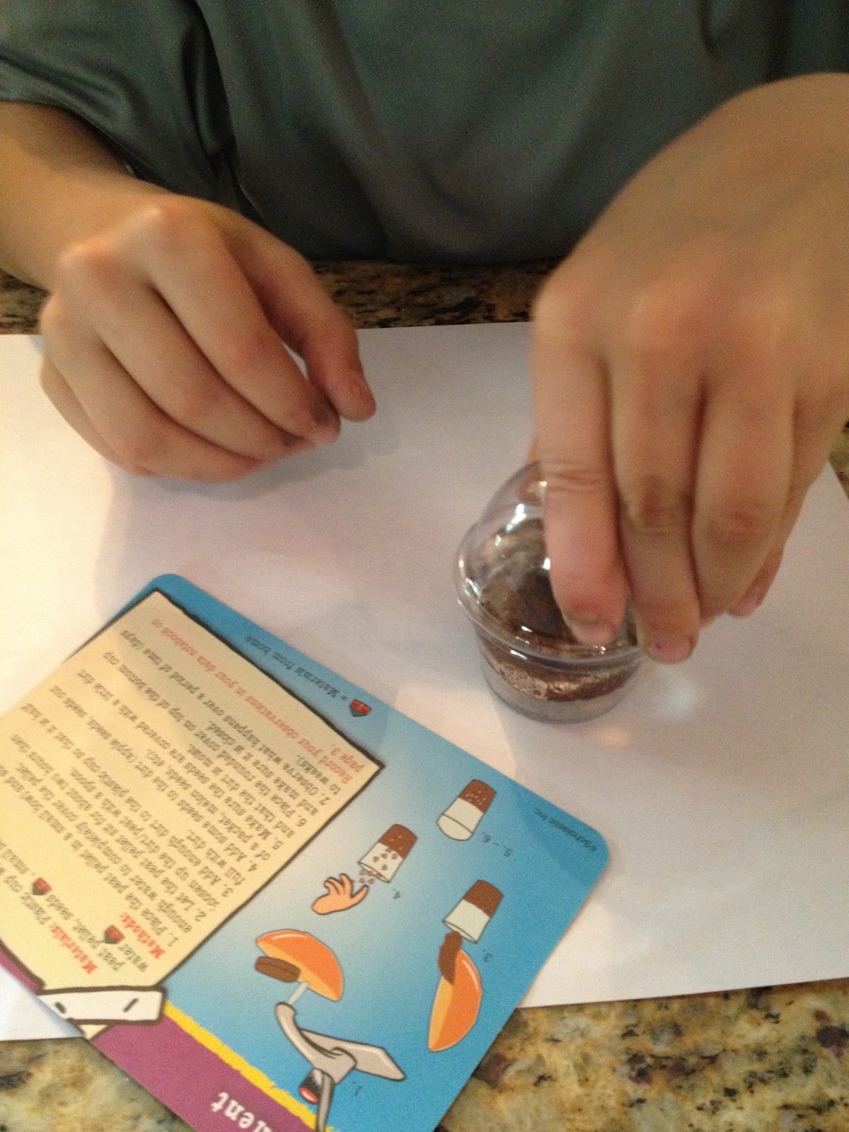 Summer Activities Using Magic School Bus Weather Lab Staying Close To Home