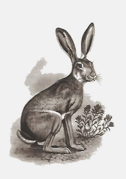 Батарейный заяц. Кассиль батарейный заяц. Батарейный заяц. Пришвин заяц. Лев кассиль батарейный заяц.