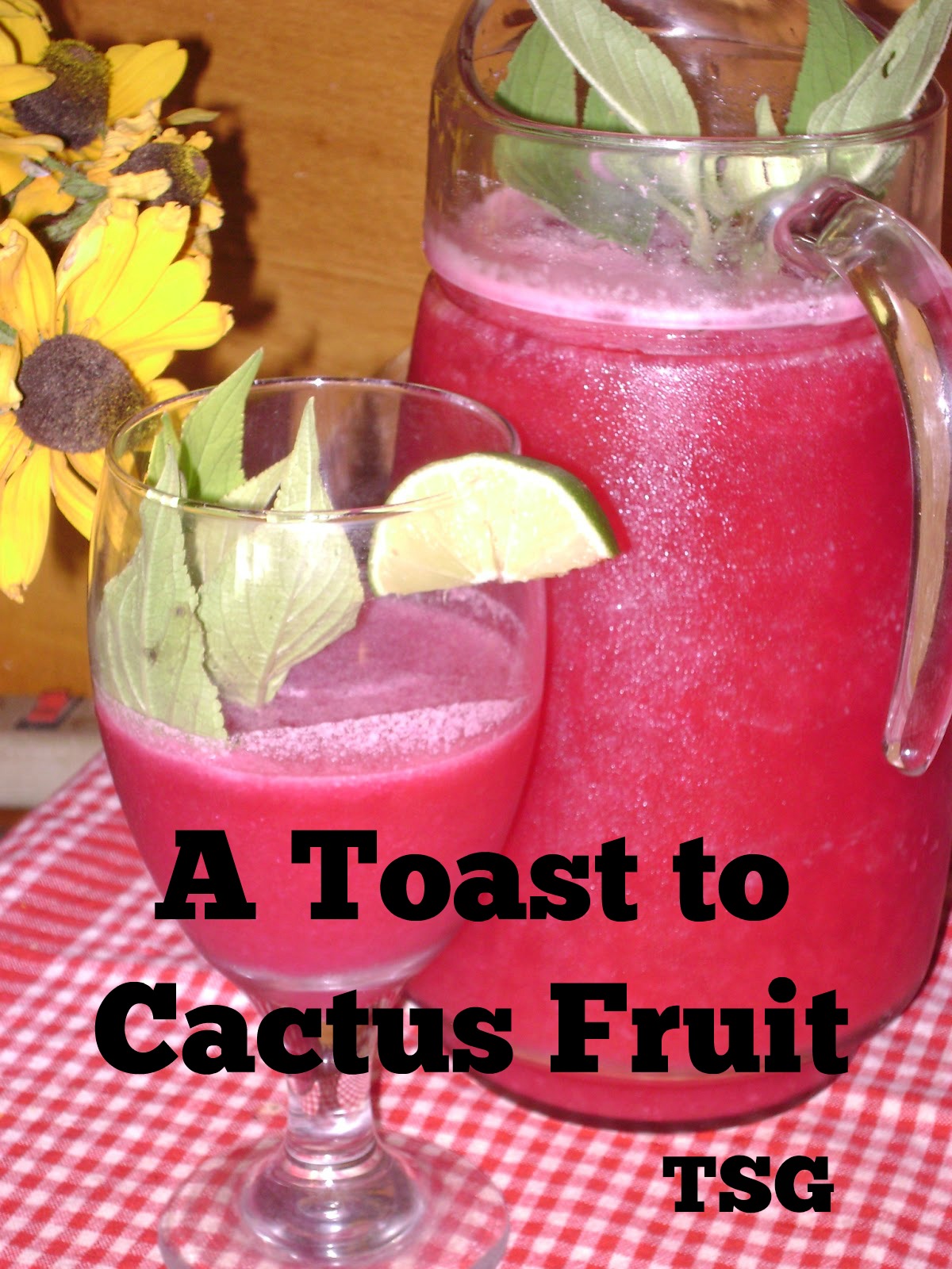 TSG Juicing Cactus Fruit For Delicious Nutrition