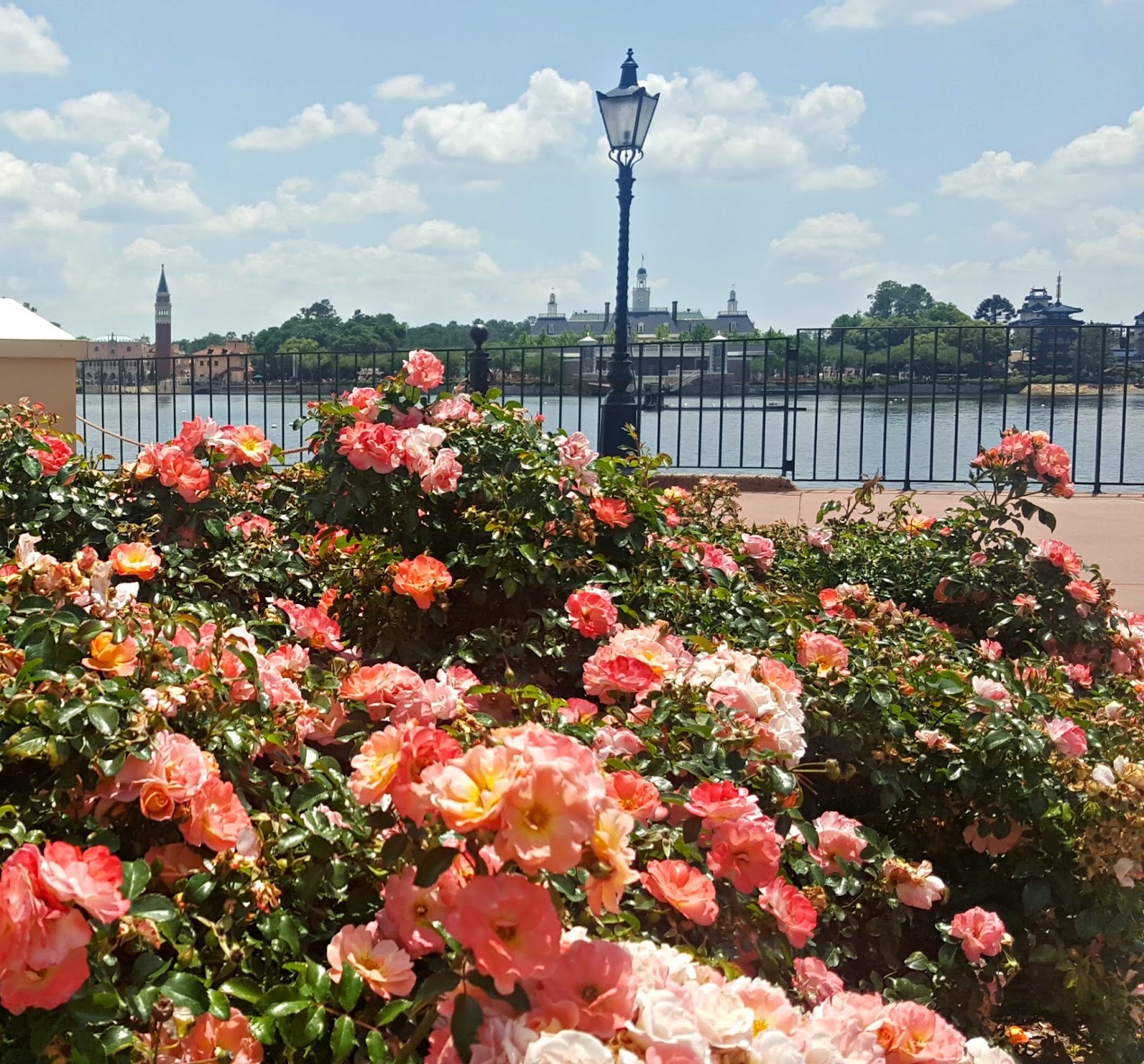 Photos from the Epcot International Flower & Garden Show Fresh Eggs