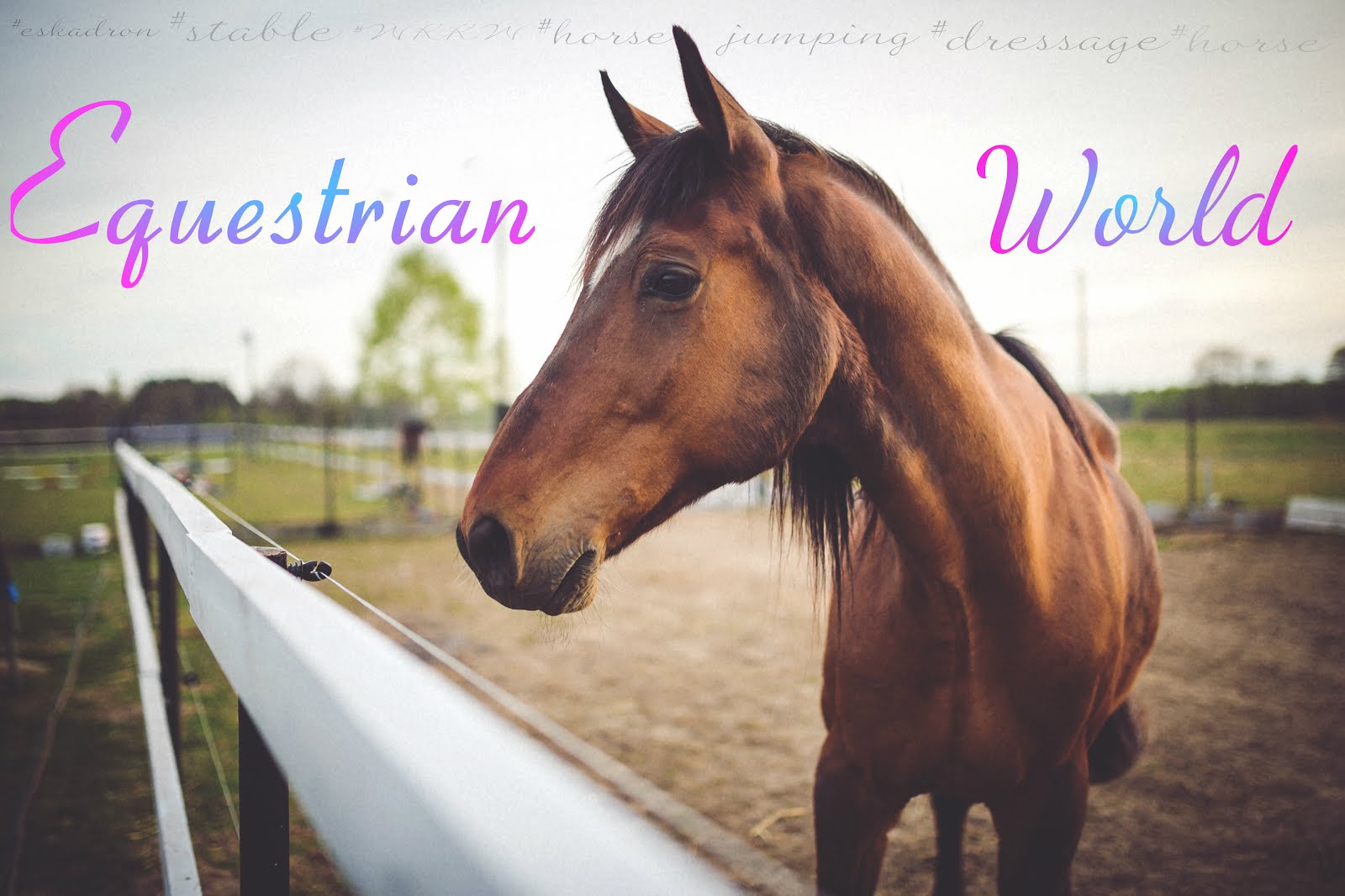 Equestrian World