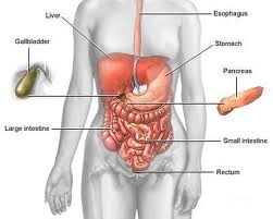 5 remedii naturale pentru colon iritabil