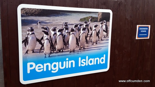 Penguin island Scarborough