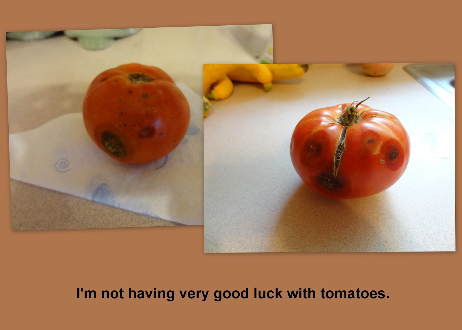 Food Days September Food Days September