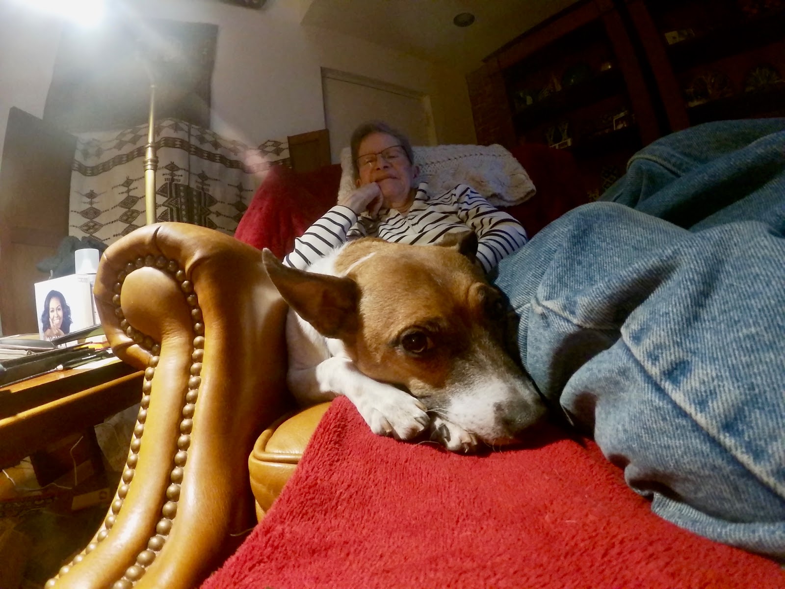 Terrierman's Daily Dose Guard Dog and Lap Warmer