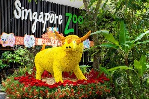 Tempat Wisata di Singapura Yang Paling Menarik 2018