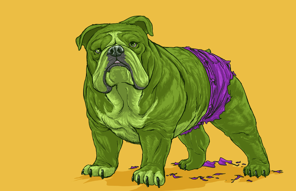 11-The-Hulk-Josh-Lynch-Illustrations-of-Dogs-with-Marvel-Comic-Alter-Egos-www-designstack-co