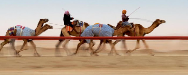 10 Abu Dhabi’s Traditions You Should Know 10 Abu Dhabi’s Traditions You Should Know