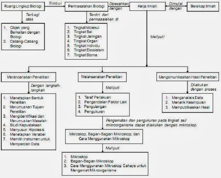 Artikel Ruang Lingkup Biologi  Share The Knownledge