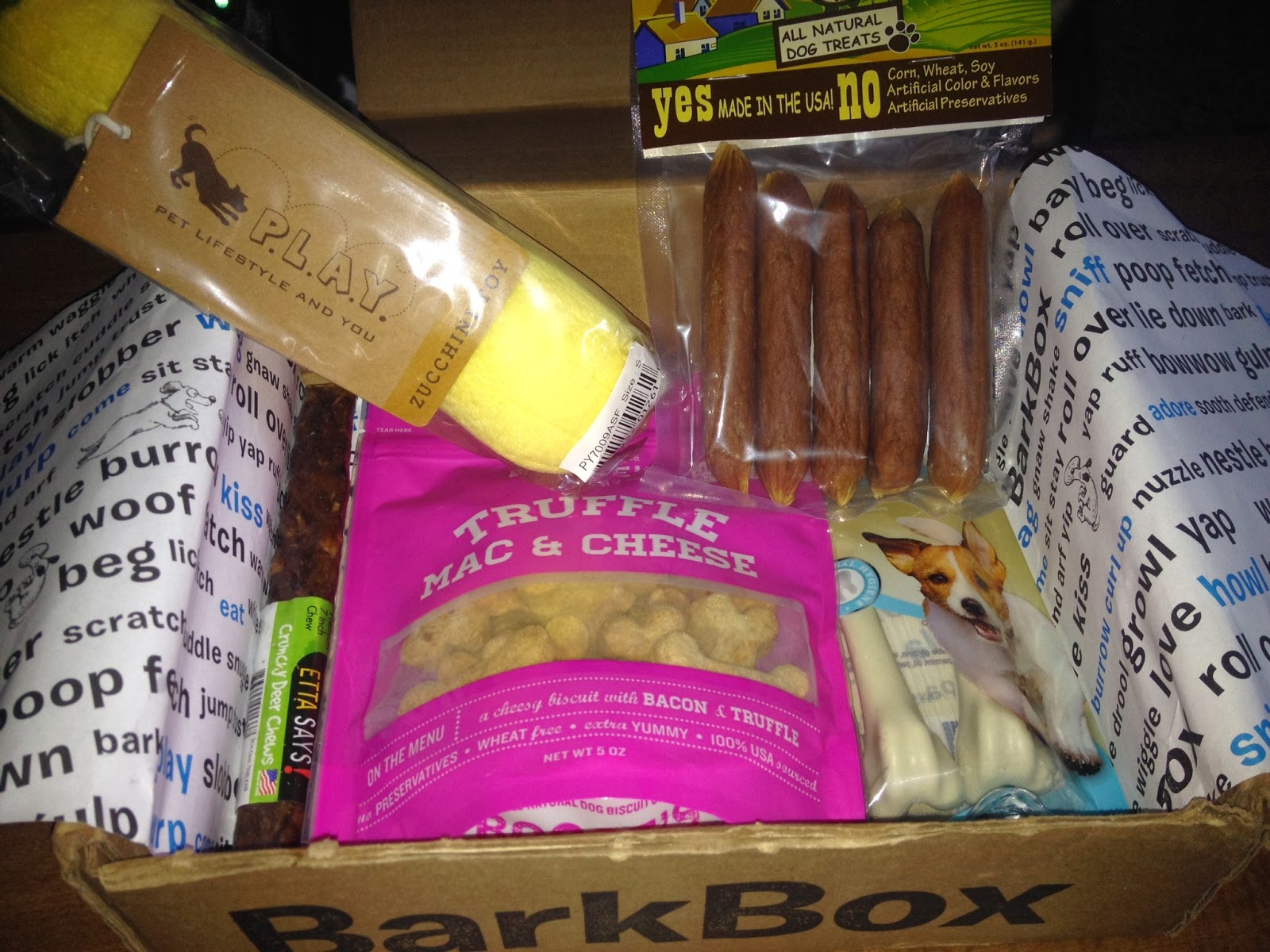 Katie and Maggie Fall Bark Box