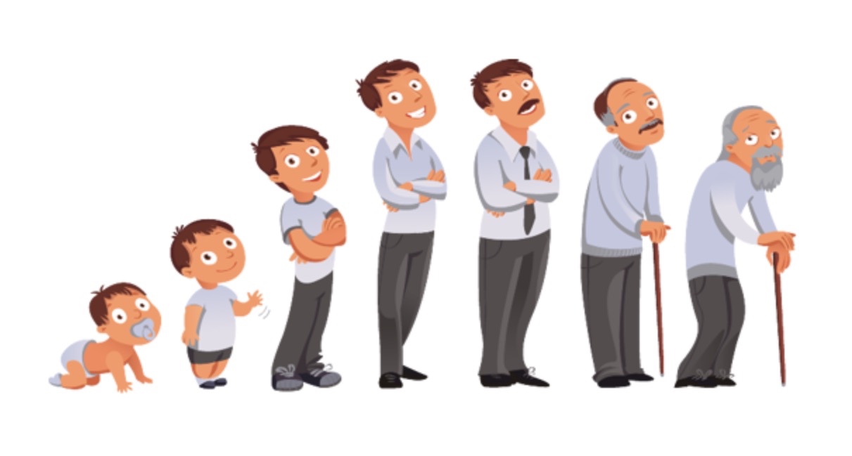 Web1info دورات حياة الإنسان حسب نظرية النضج