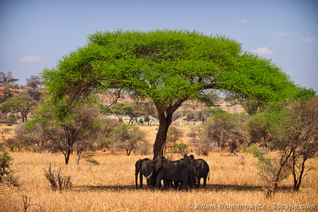 Communal Nature Of Humans Communal Nature Of Humans