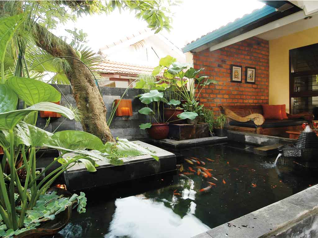 Inspirasi aquascape Desain Kolam Ikan Hias Dalam Rumah Minimalis