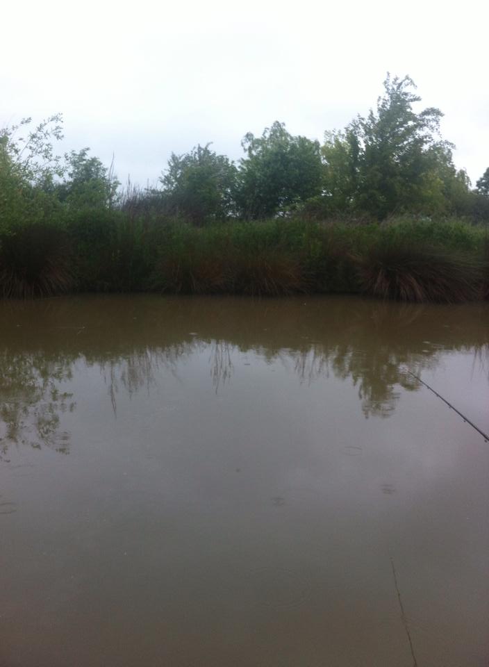 UK fishing venues Plainville Lake Venue Review