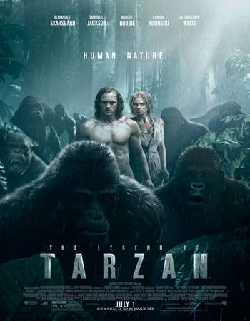 Poster Of The Legend of Tarzan 2016 Hindi Dubbed 700MB pDVD x264 Free Download Watch Online Worldfree4u