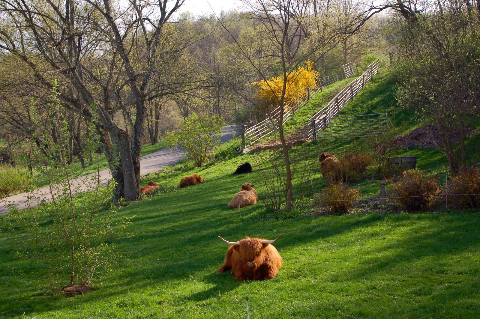 Operational Farm for Sale Greene County, PA