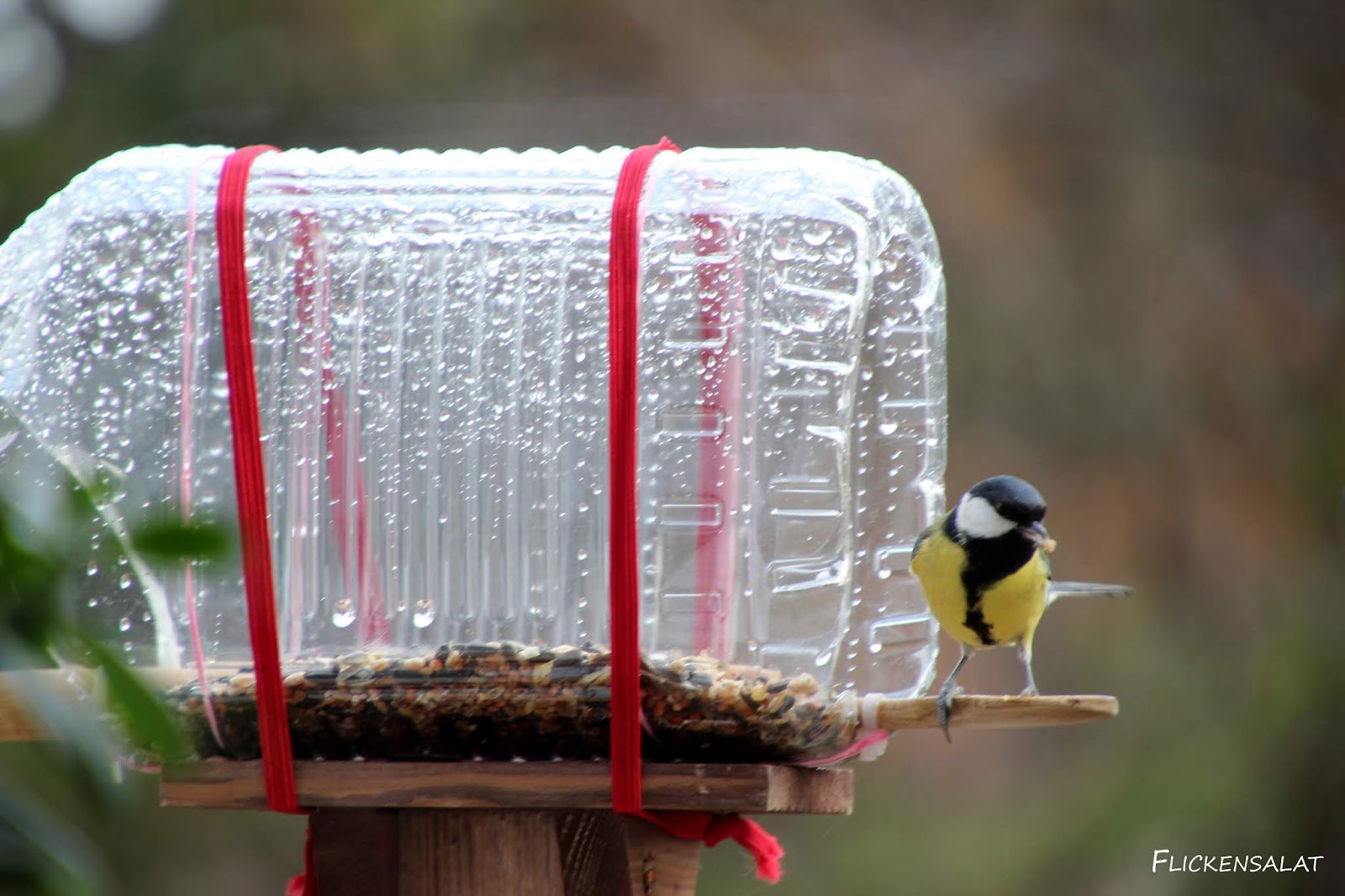 Flickensalat: Vogelhaus aus Wasserkanister