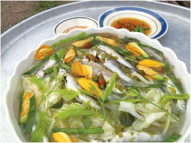Mùa nước nổi miền tây vào tháng mấy? Mùa nước nổi miền tây vào tháng mấy?
