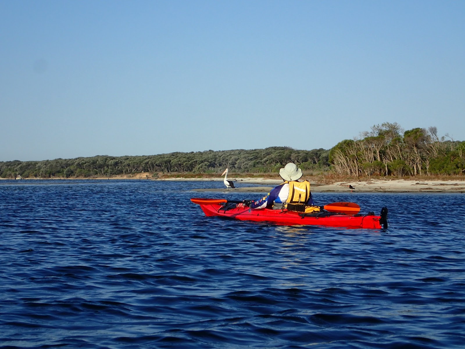 Simon Joe (and Tony?) Big Kayak Paddle Another Trip to the Gippsland