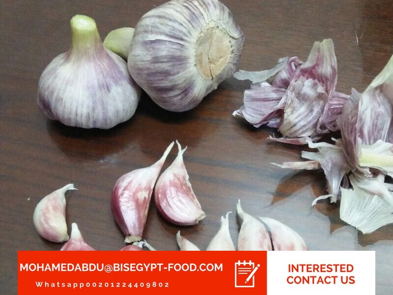 garlic wholesalers