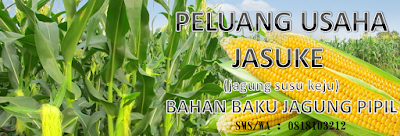 Jasuke Analisa Usaha