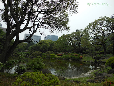 View from the Hibiya Garden - Tokyo, Japan
