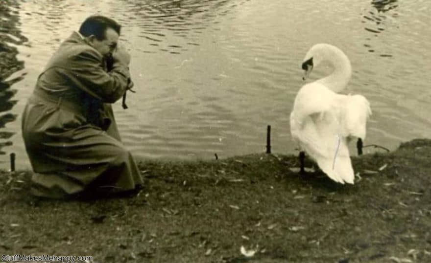 Vintage Photos Showing A Special Connection Between Humans and Animals Has Always Been Graceful