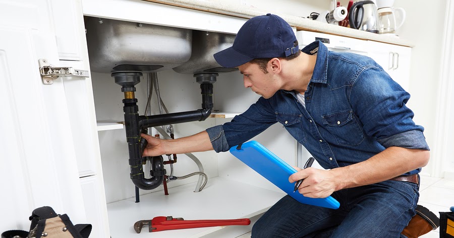 Curriculum vitae gasista 07 picture