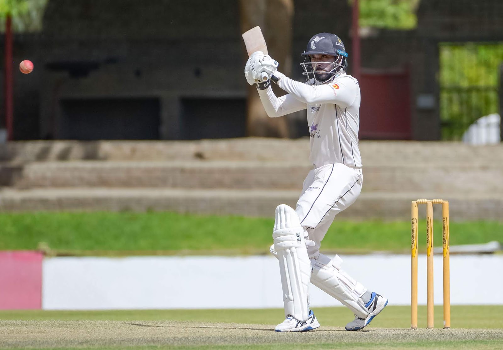 Cody Chetty Another second innings half century from Cody Chetty helped the Hollywoodbets Dolphins rescue a draw against the World Sports Betting Cape Cobras in their CSA 4-Day Domestic Series match at the Pietermaritzburg Oval on Thursday.