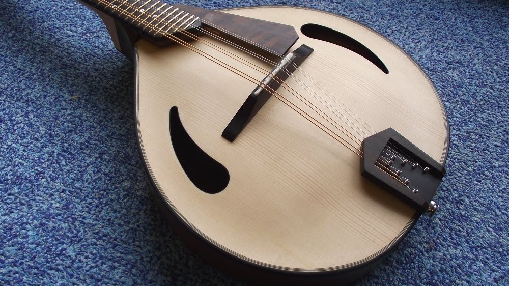 A Luthier's Blog Walnut Archtop Mandolin; in the white