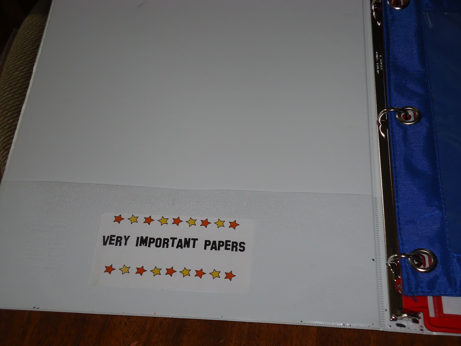 Ms. Fiorini's Stadium: Star Binder Hollywood/Western Style