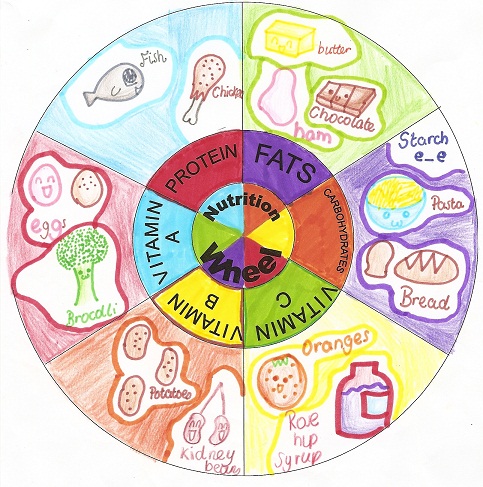 Η δίαιτα του πιάτου: Για να χάσεις μέχρι και 4 κιλά