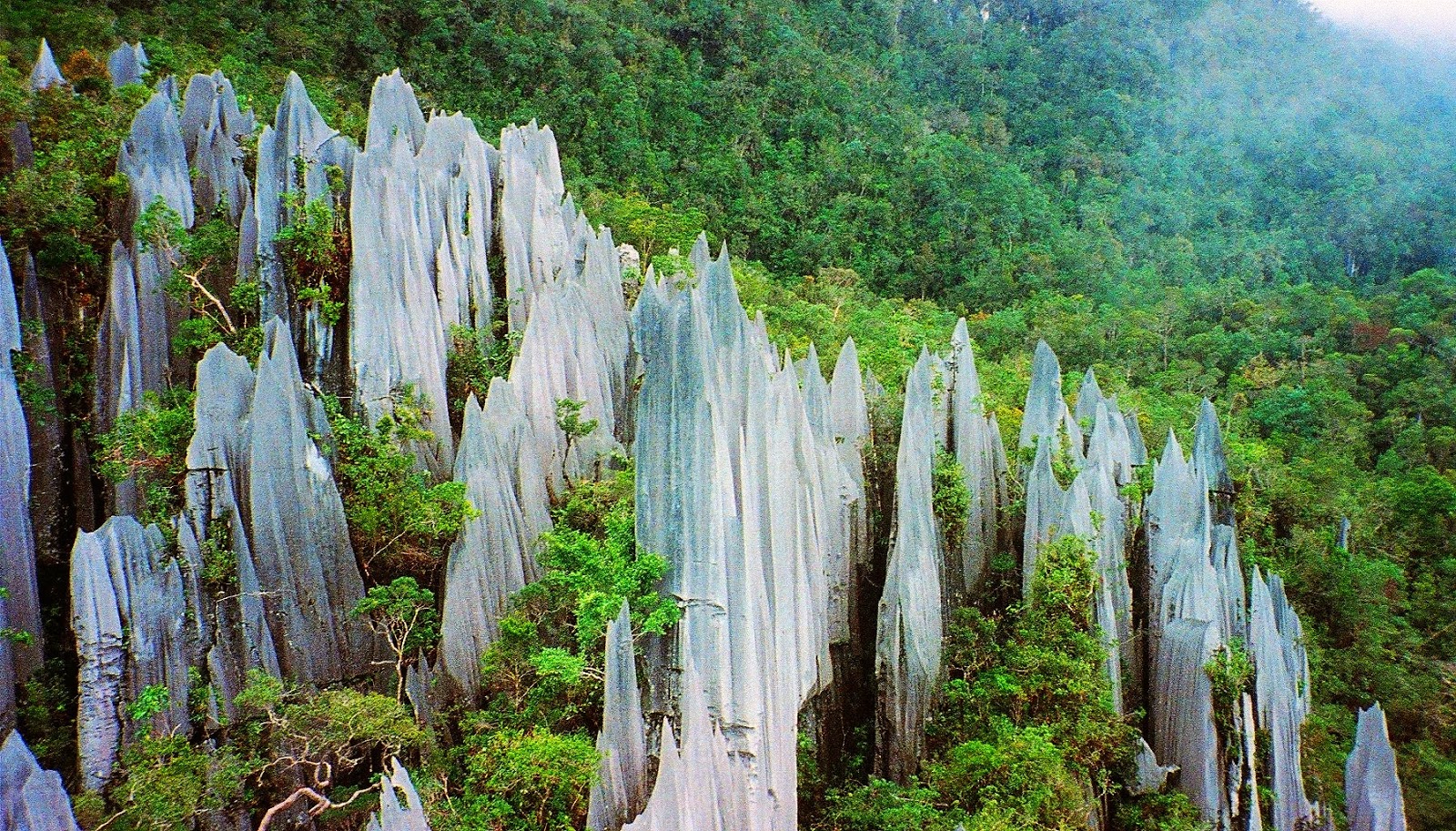 tempat menarik sarawak Lokasi Percutian kegemaran 2017