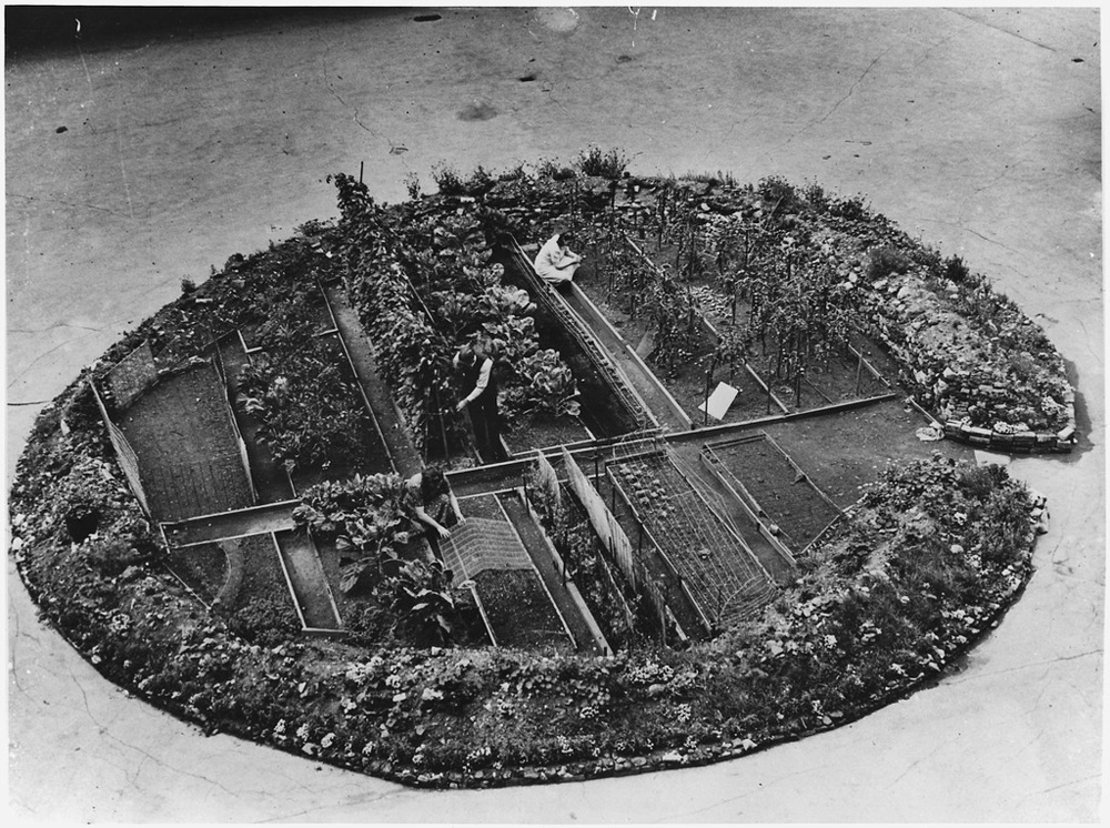 The Westminster Cathedral crater garden. The Westminster Cathedral crater garden.