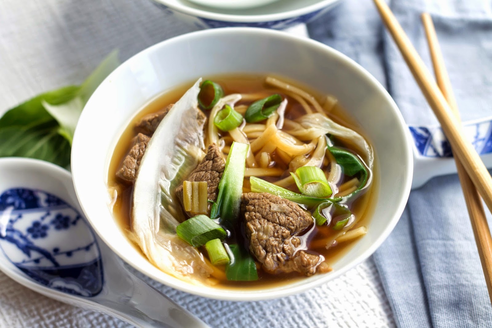 Beef And Vegetable Noodle Soup Best Recipes