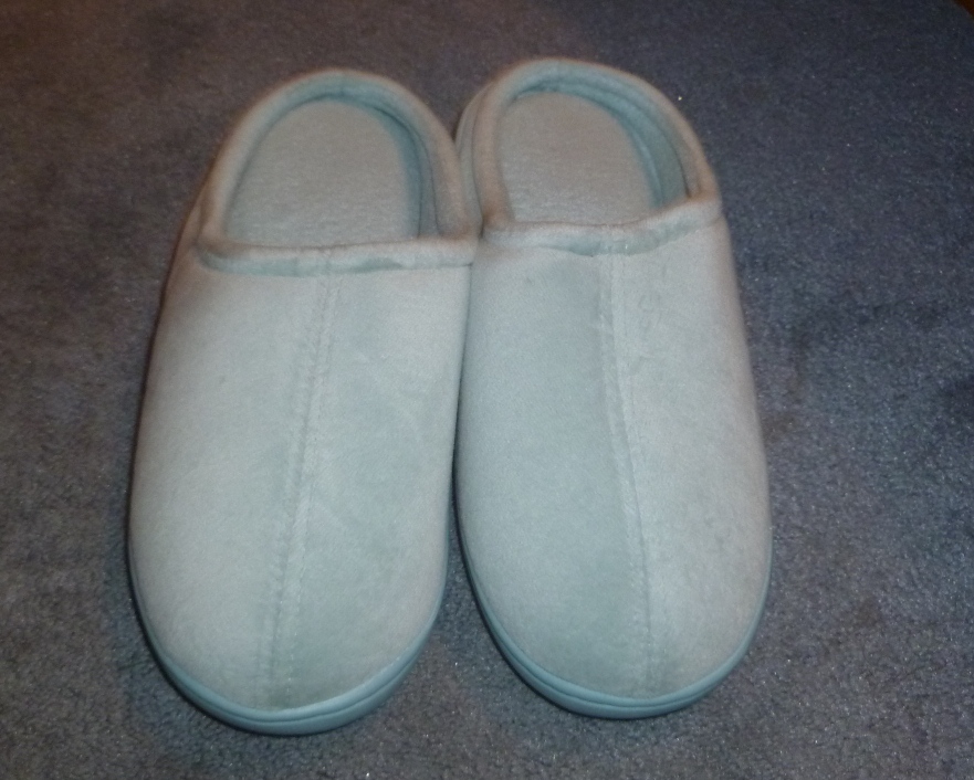Evan and Lauren's Cool Blog: 4/17/12: Nature's Sleep Slipper Review and ...