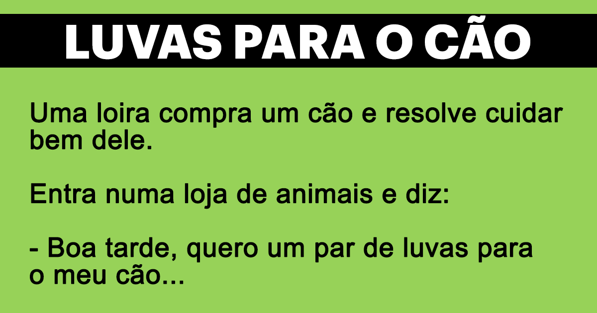 Luvas para o meu cão Luvas para o meu cão