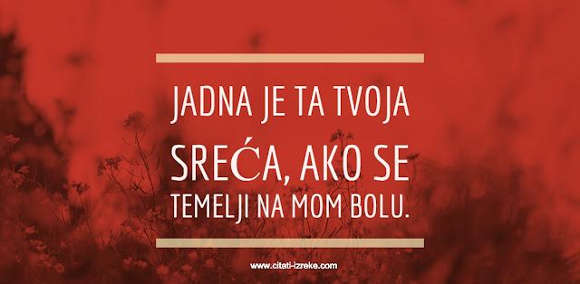 Žarko Laušević citati sa slikama Citati i Izreke sa slikama