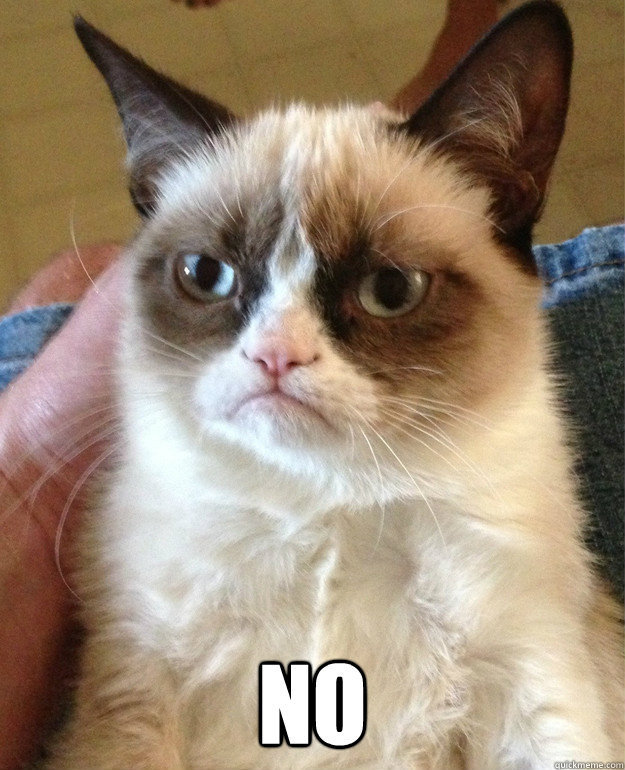 Grumpy Cat Saying No | Funny Collection World
