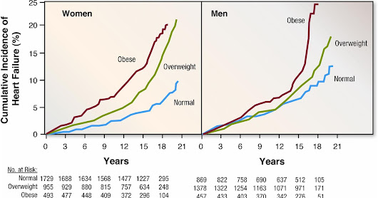 What's Worse—Carbs or Seed Oils? Understanding a High-PUFA Diet.