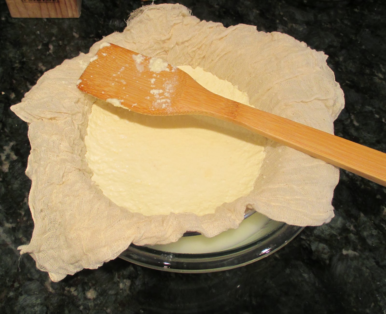 Lasso the Lactose DIY Ricotta