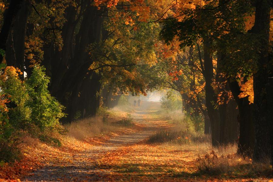 Beautiful Autumn Wallpapers For Desktop Background | Free HD Desktop ...