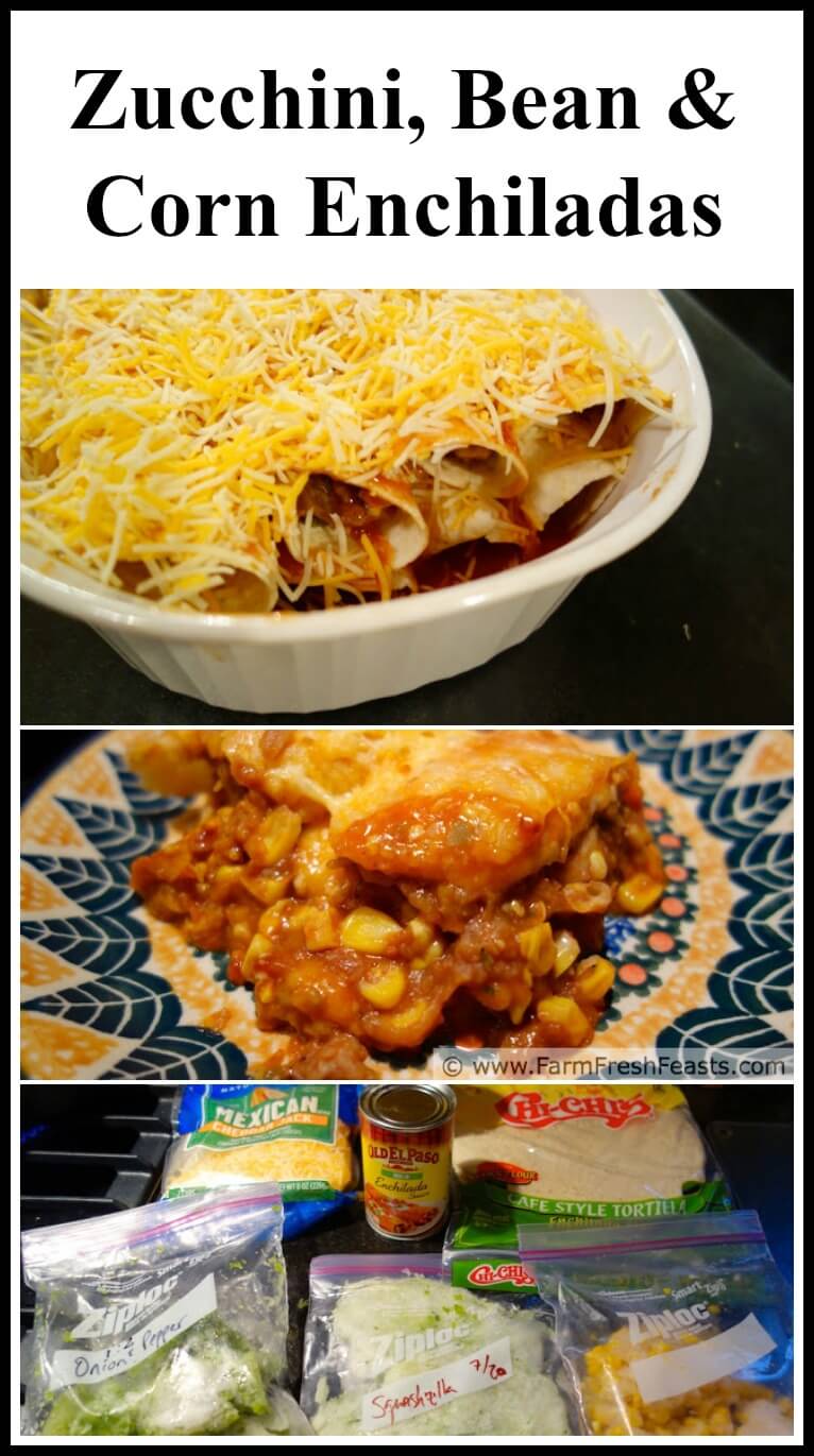 Farm Fresh Feasts ZucchiniRefried BeanCorn Enchiladas (cooking from