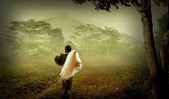 Lirik Lagu Que Sera Sera Whatever Will Be Will Be Dan Artinya