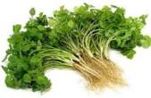 Top Helpful Indian Kitchen,Cleaning Cooking Tips And Tricks