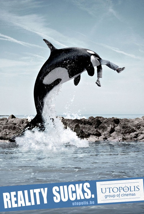 freewilly.jpg